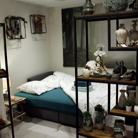 Cocon D'Argile Bed & Breakfast Bischoffsheim Luaran gambar