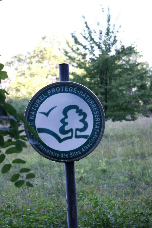 Cocon D'Argile Bed & Breakfast Bischoffsheim Luaran gambar
