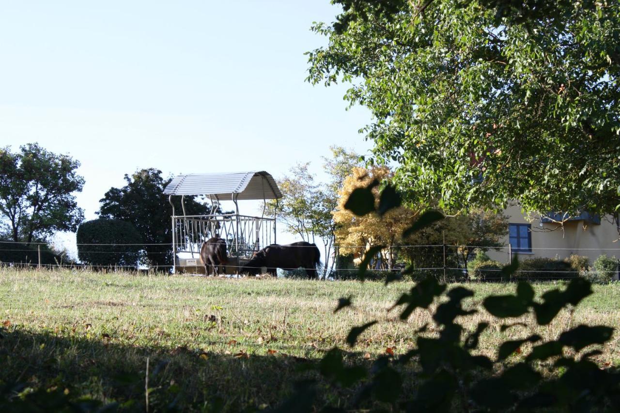 Cocon D'Argile Bed & Breakfast Bischoffsheim Luaran gambar